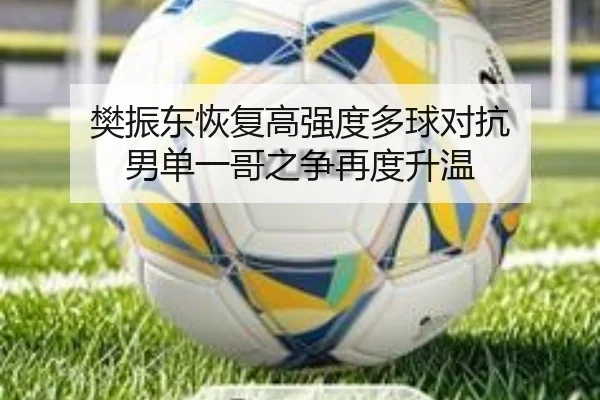 樊振东恢复高强度多球对抗 男单一哥之争再度升温